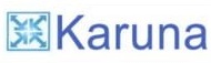 Karuna Financial